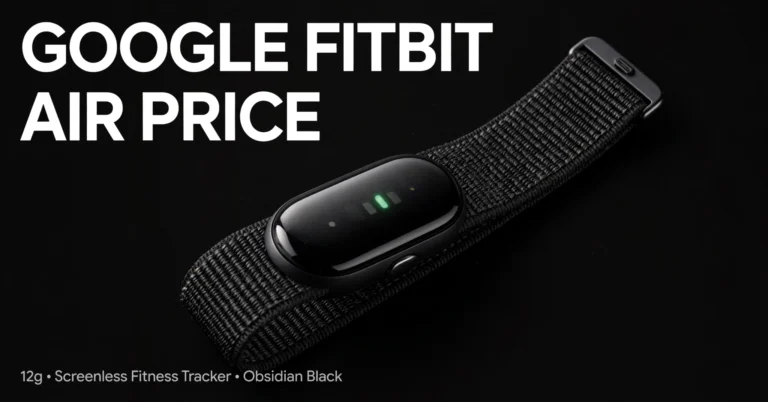 Google Fitbit Air